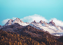 开云体育下载安装-被冷落激发老鹰队斗志 新赛季无缘前八便是失败